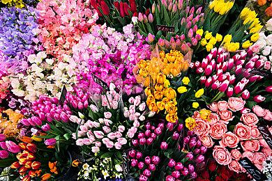 《装机模拟器2》公测开启 发售日期待定